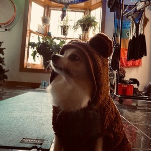 Meet your Posher, Kenny